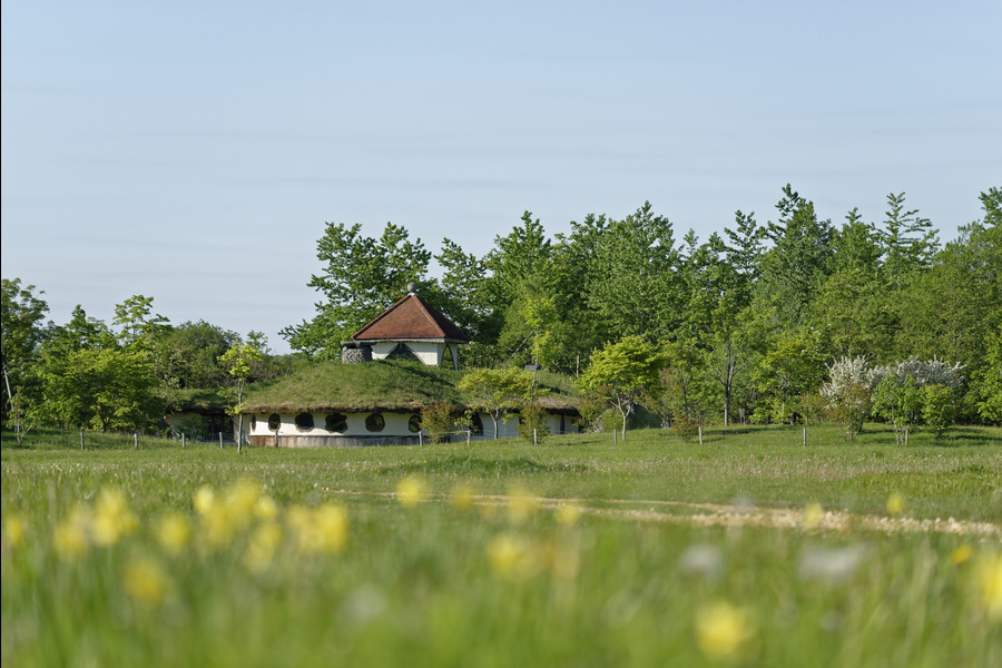 _dsc8206e.jpg
